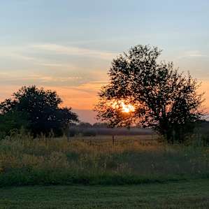 Serenity Fields Farm