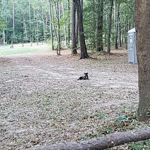 Forested, Next to Lake Conroe!