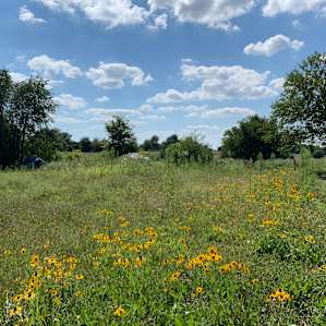 Serenity Fields Farm