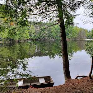 Camp Escape: The Underbelly