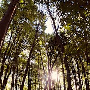 Morning at the campsite.