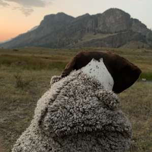 Enjoying nature sounds.