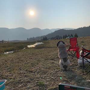 Sunrise from our tent ⛺️