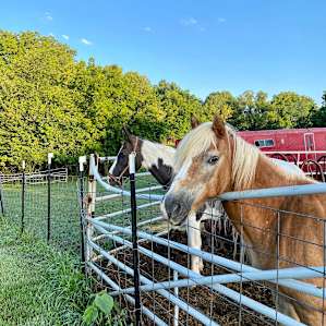Willow City Farm's Private Escape