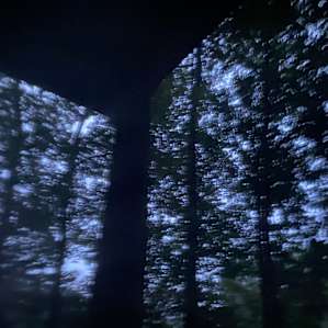 Sunrise view from inside our tent. The tree covering was beautiful.
