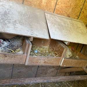 1912 Barn Living Experience