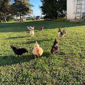 1912 Barn Living Experience
