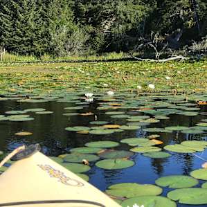 Lake,-woods HideAway @Bull Frog Bay