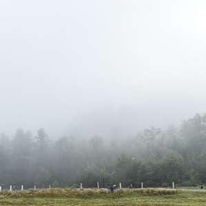I can't guarantee you'll get fog too but it sure was purty
