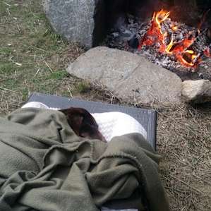 Total Peacefulness