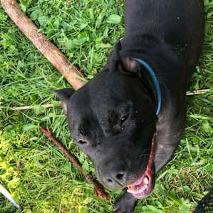 She loved to play!