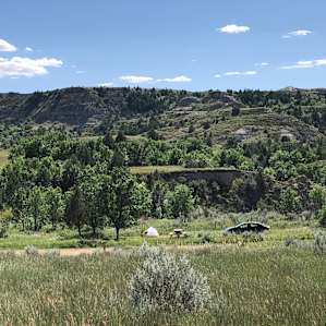 “Shady” campsite