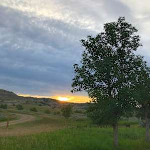August Sunrise