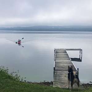 Early morning kayak