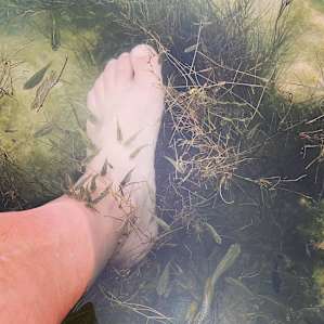 Fish pedicure!