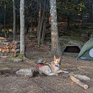 Hussey Mtn. Tree Farm (Ledgewood)