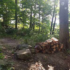 Winking Forest Camping & Shelter