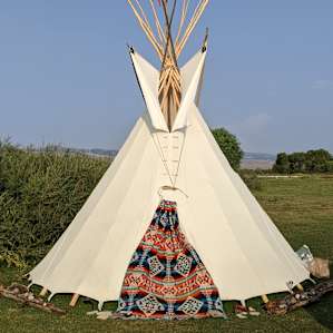 The Indstead Mini Lodge