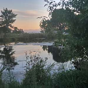Trout pond