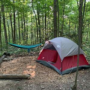 Perfect spot for a tent and a hammock!