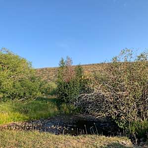Private Fish & Camp on Bear River
