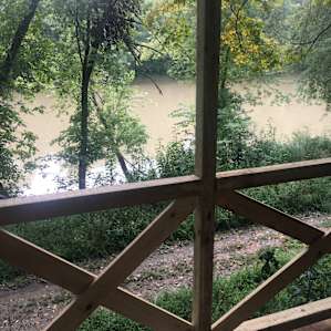 Cumberland River tree canopy