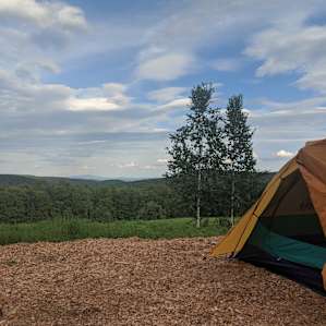 We decided to pitch our tent on the wood chips which made for a nice soft bed.