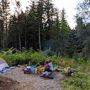 Huckleberry Hill Lowland Forest
