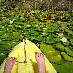Lake,-woods HideAway @Bull Frog Bay