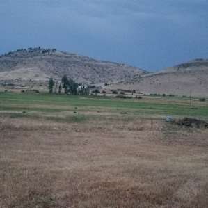 M Lazy P Ranch, LLC