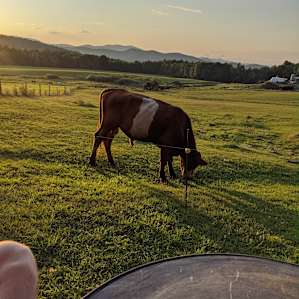 Our dinner guest