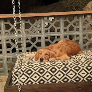 Our dog loved to relax on the swing!
