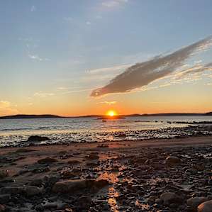 Quiet Acadia Woods Near Ocean