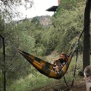 A couple good spots for a hammock!