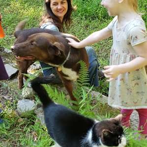 Spring Cabin with Bunnies & Piggies