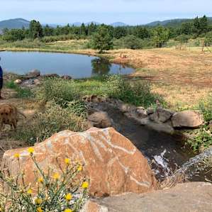 the swimming pond! Cold and refreshing!