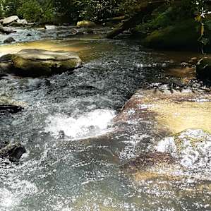 Hammock Haven at Panther Creek