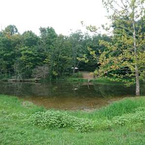 Lake Farm