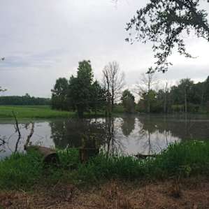 Lake Farm
