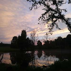 Lake Farm