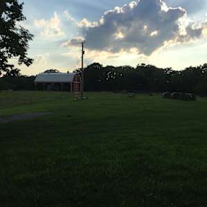 Selby Farm tent sites