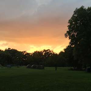 Selby Farm tent sites