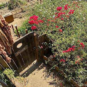 Skyfarm Yurt - A Glamping Oasis