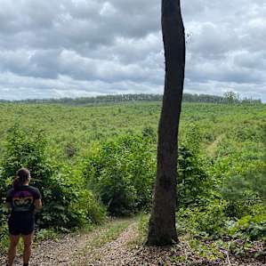View from Fern Trail.