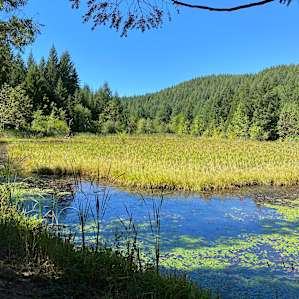 Turtle Pond DRY RV n/Crater Lake