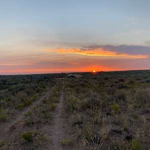 Front Row Seat! Petrified Forest!