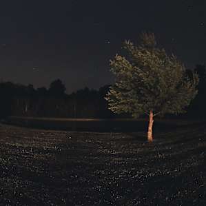 The pond at night