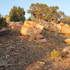 the ruins