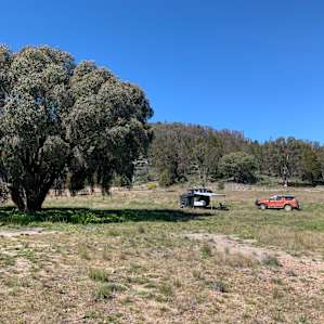 Pine View - Big Dam Campsite