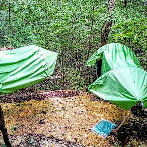 Hammock tents kept us nice and dry